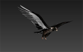 老鹰三维模式设计